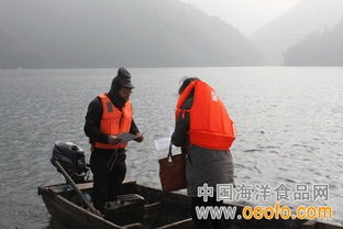 江山市多措并舉筑牢節前安全防線，守護漁業生產與市場質量雙安全