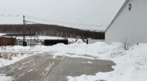 風雪同舟 畜牧部門筑牢防寒屏障，汽車裝飾業迎冬季消費熱潮